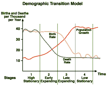 demographic transition model dtm stages stage population growth geography human india rate diagram brazil death cycle birth geographyfieldwork gif rates