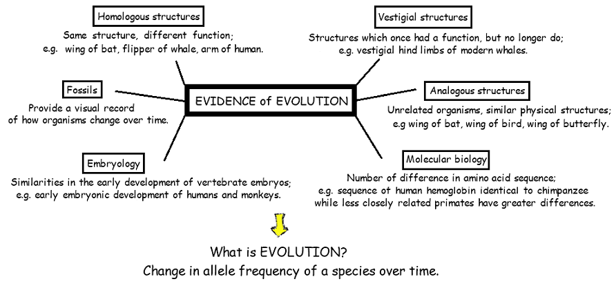 Topic  Evidence for Evolution - AMAZING WORLD OF SCIENCE WITH MR. GREEN