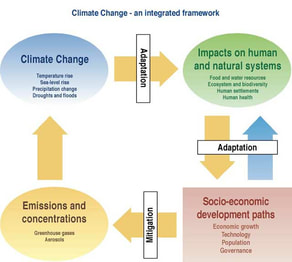 Human Biological Adaptability: Adapting to Climate Extremes